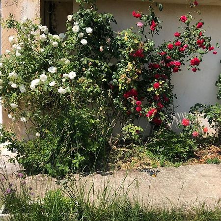 Le Jardin Suspendu Apartamento Rillieux-la-Pape Exterior foto