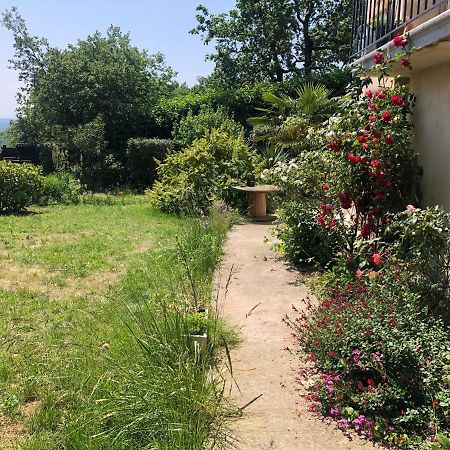 Le Jardin Suspendu Apartamento Rillieux-la-Pape Exterior foto