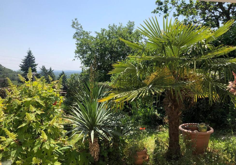 Le Jardin Suspendu Apartamento Rillieux-la-Pape Exterior foto
