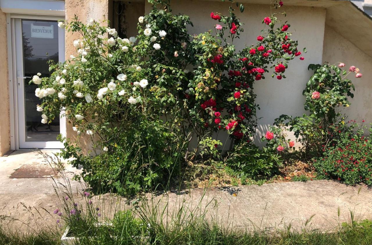 Le Jardin Suspendu Apartamento Rillieux-la-Pape Exterior foto